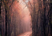 瑞典女足队员逐梦，将在比赛中拼尽全力