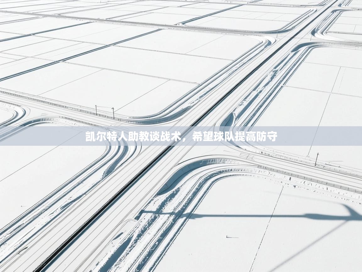 凯尔特人助教谈战术，希望球队提高防守  第2张