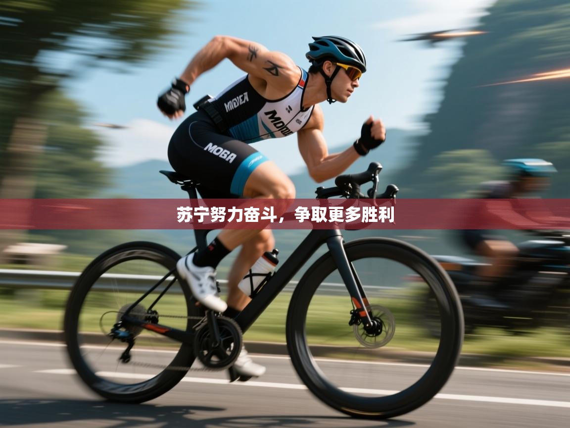 苏宁努力奋斗，争取更多胜利